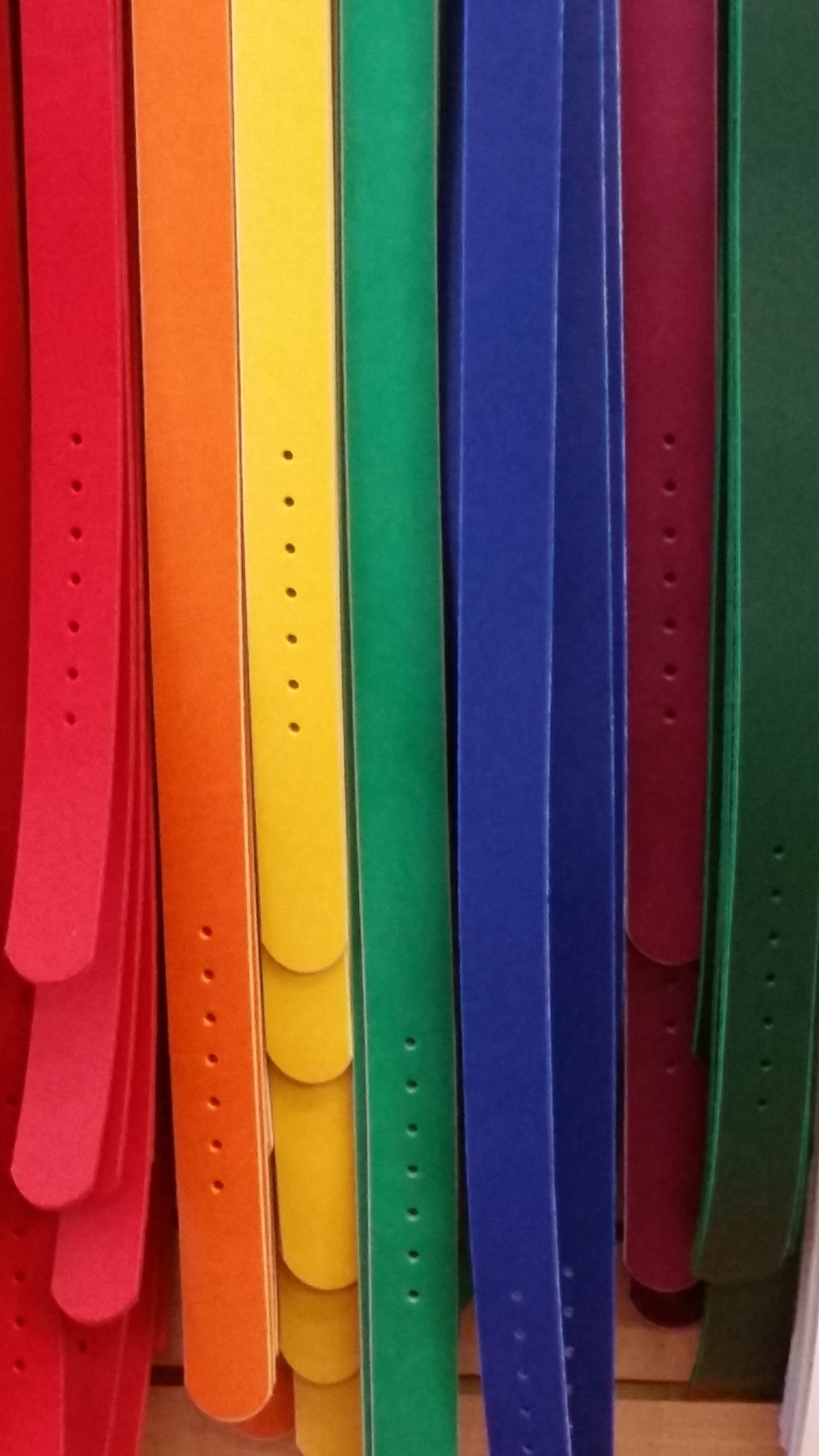 Leather Belts