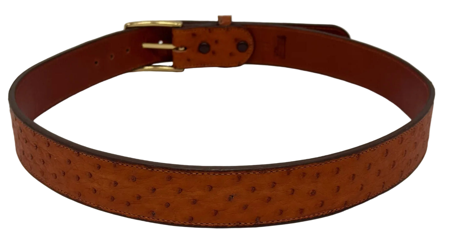 Ostritch Belt