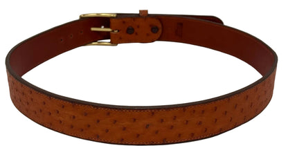 Ostritch Belt
