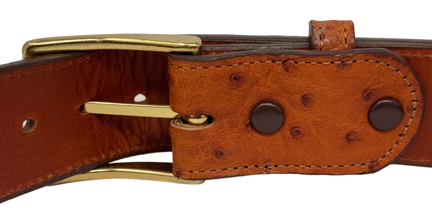 Ostritch Belt